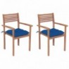 2 db tömör tíkfa kerti szék kék párnákkal