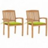 2 db tömör tíkfa kerti szék élénkzöld párnákkal