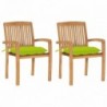 2 db tömör tíkfa kerti szék élénkzöld párnával