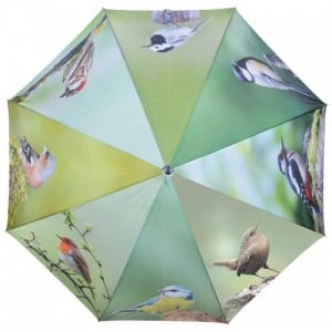 Kismadaras esernyő