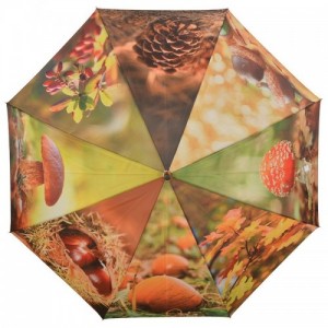 Esernyő, őszi hangulat