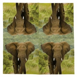 Elefántos szalvéta