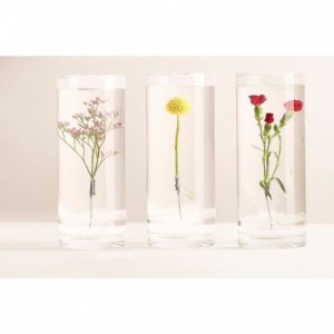 Henger alakú üveg váza, vízbe merülő virágoknak, XXL