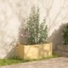 2 db tömör fenyőfa kerti virágtartó 100 x 50 x 50 cm