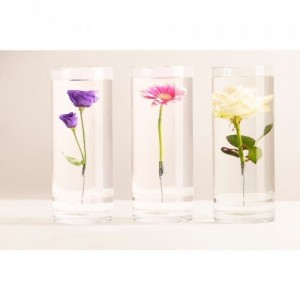 Henger alakú üveg váza, vízbe merülő virágoknak, XL