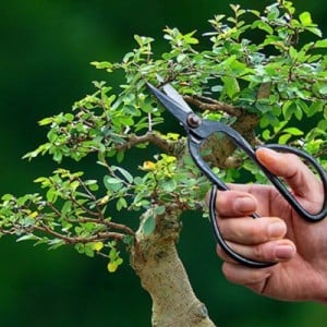 Fekete acél bonsai olló, 18 cm