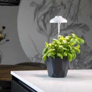 Növénytermesztő LED lámpa USB csatlakozóval, fehér