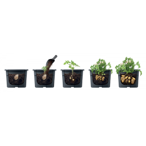 Prosperplast POTATO GROWER kaspó burgonya termesztésre 29,5 cm antracit