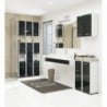 Fürdőszobai szekrény FIN 2D | Fehér - Grafit fényes