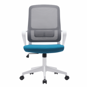 Irodai szék, szürke|petróleumzöld|fehér, SALOMO TYP 1