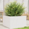 Fehér tömör fenyőfa kerti virágláda 80x80x45,5 cm