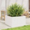 Fehér tömör fenyőfa kerti virágláda 80x80x45,5 cm