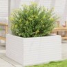 Fehér tömör fenyőfa kerti virágláda 80x80x46 cm
