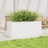 Fehér tömör fenyőfa kerti virágláda 110x40x46 cm