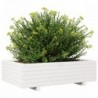 Fehér tömör fenyőfa kerti virágláda 90x60x26,5 cm